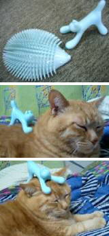 猫マッサージ