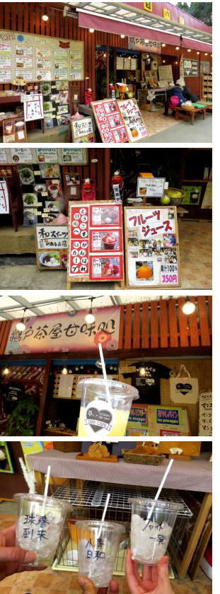 日向夏100%ジュース.jpg