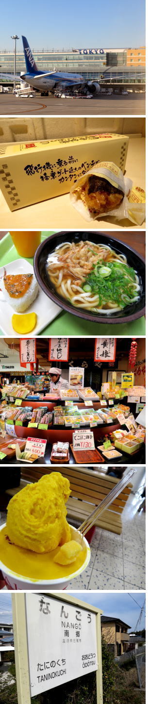 西武ライオンズ『宮崎南郷キャンプ』.jpg